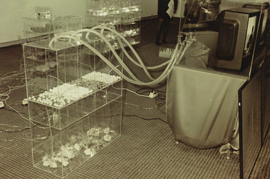 <i>Incident : Process, State</i>, Wang Jianwei, 1993, installation.