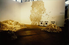 <i>Reptiles</i>, Huang Yongping, 1989, installation (paper pulp, washing machine, books and newspaper).